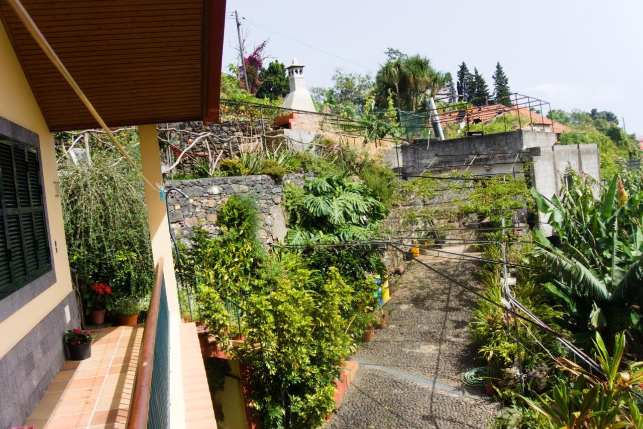 Villa Catanho فونشال المظهر الخارجي الصورة